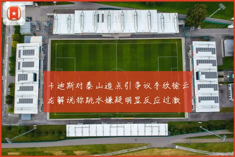 卡迪斯对泰山造点引争议李欣徐云龙解说称跳水嫌疑明显反应过激