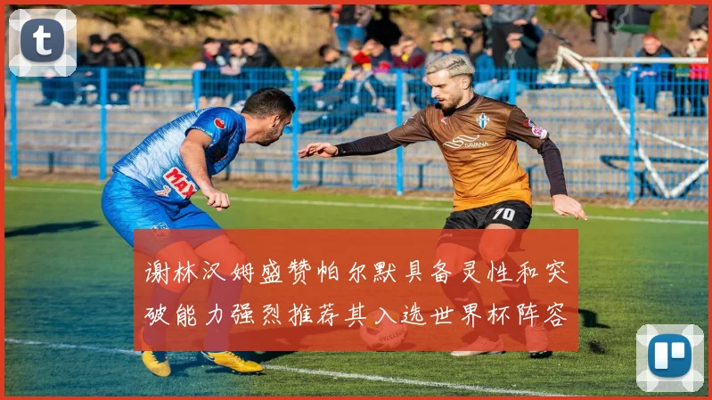谢林汉姆盛赞帕尔默具备灵性和突破能力强烈推荐其入选世界杯阵容